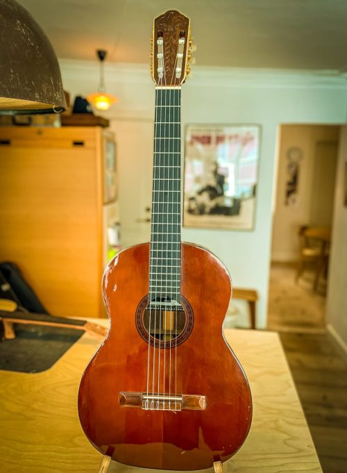 Di_Giorgio_Autor_No3-8