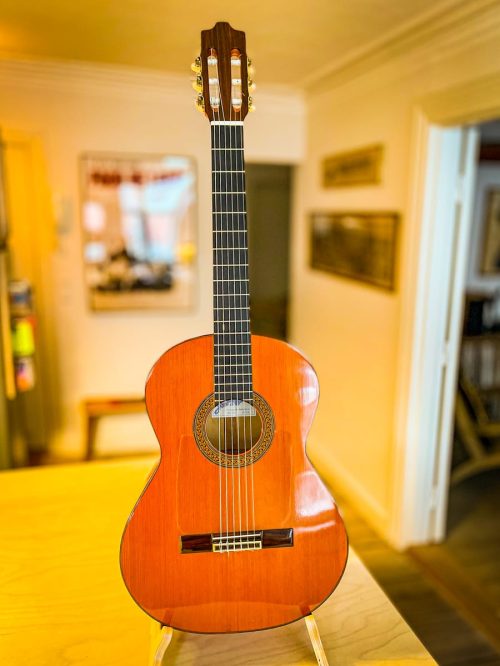 Ramirez-Flamenco-no5-06