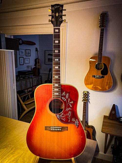 gibson_hummingbird-3-2